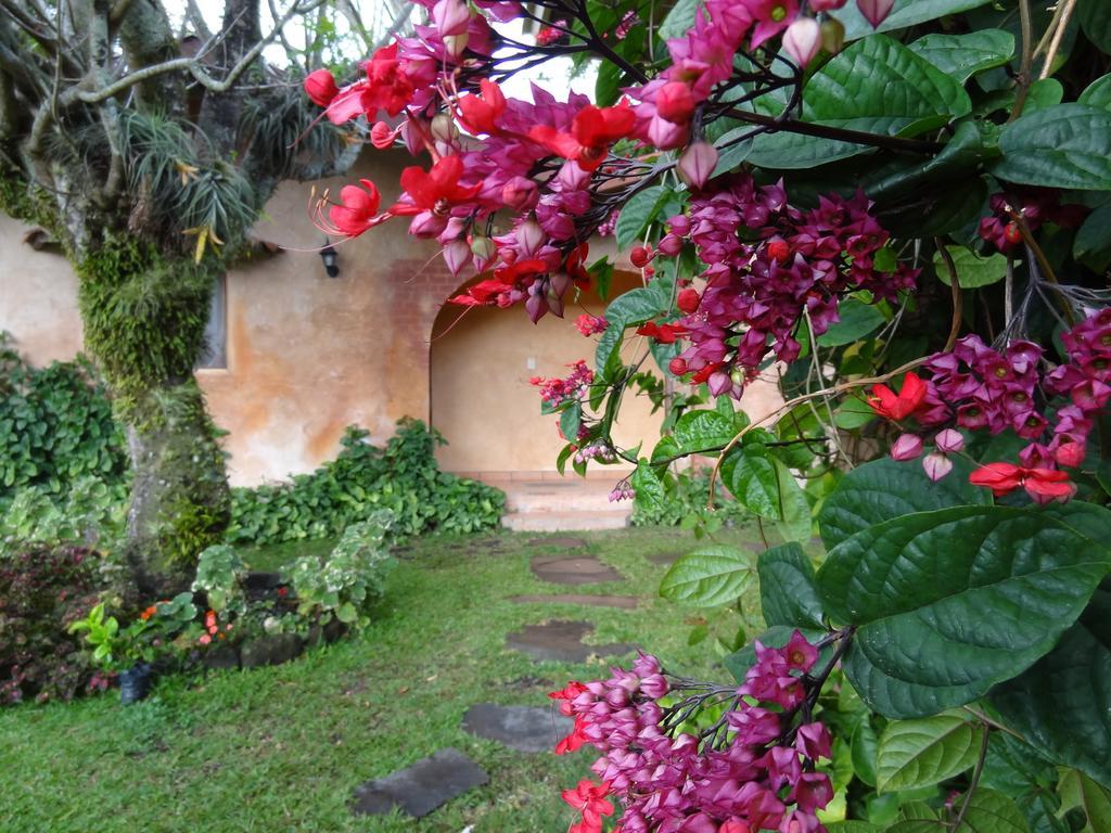Valle Primavera 호텔 보케테 외부 사진
